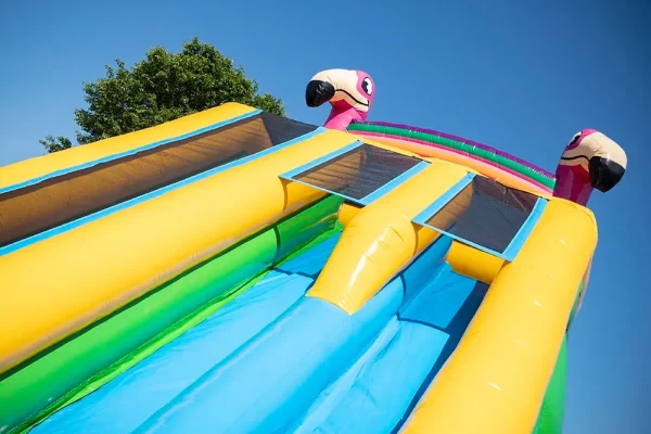 activites hiver aquatiques activites eau flamingo double slide aquatique tarif