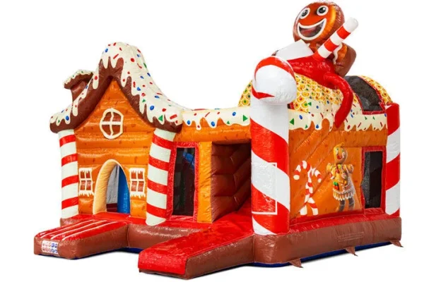 activites hiver aquatiques patinoires activites hiver pain epice professionnel
