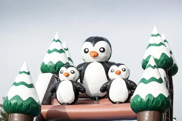 activites hiver aquatiques patinoires activites hiver parcours pingouin devis
