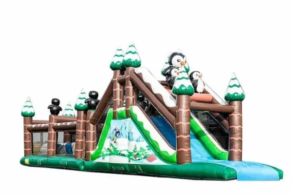 activites hiver aquatiques patinoires activites hiver parcours pingouin professionnel (1)
