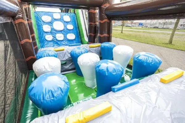 activites hiver aquatiques patinoires activites hiver parcours pingouin professionnel