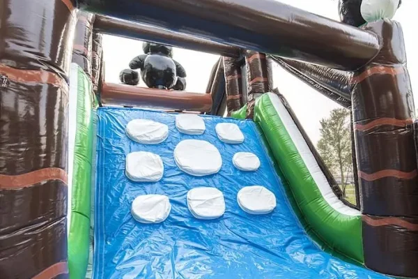 activites hiver aquatiques patinoires activites hiver parcours pingouin tarif