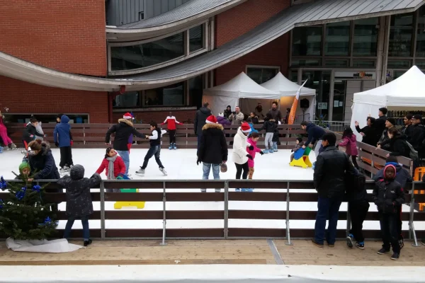 activites hiver aquatiques patinoires activites hiver patinoire synthetique prix