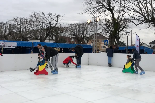activites hiver aquatiques patinoires activites hiver patinoire synthetique rambardes hautes devis