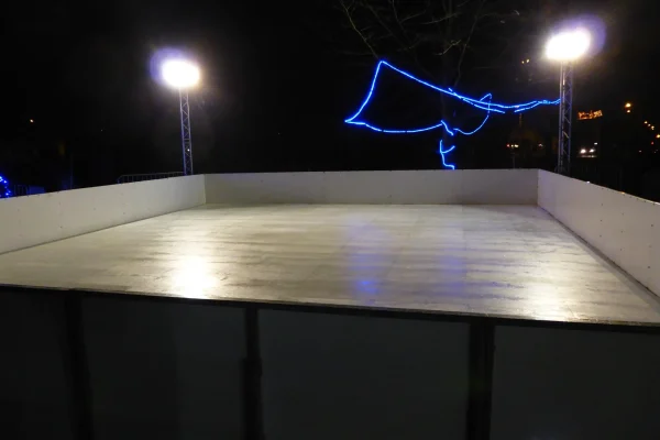 activites hiver aquatiques patinoires activites hiver patinoire synthetique rambardes hautes prix