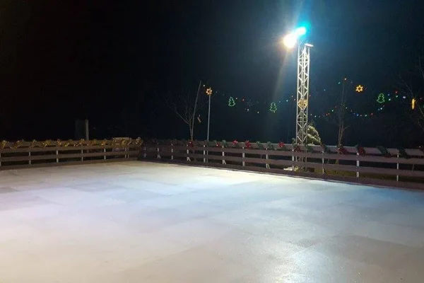 activites hiver aquatiques patinoires activites hiver patinoire synthetique tarif
