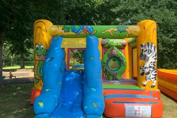 structure gonflables chateaux jungle prix